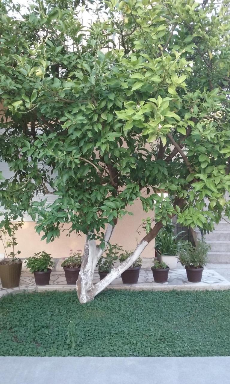 Apartment K2 Radanovići Екстериор снимка